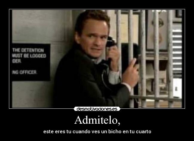 Admitelo, - este eres tu cuando ves un bicho en tu cuarto