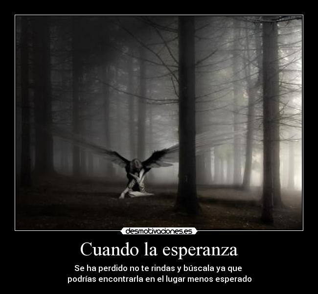 Cuando la esperanza - Se ha perdido no te rindas y búscala ya que
podrías encontrarla en el lugar menos esperado