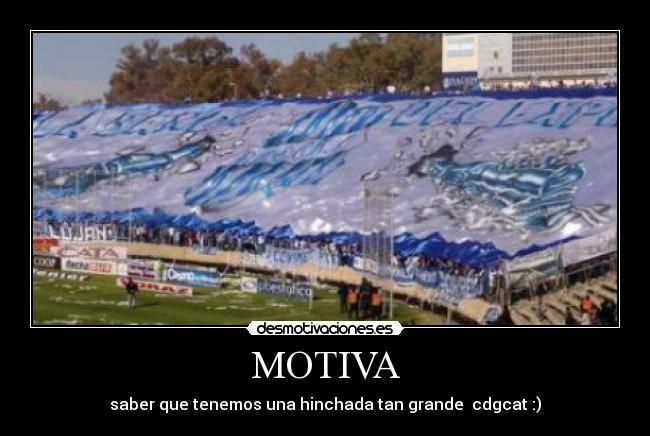 MOTIVA -