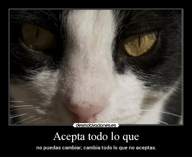 Acepta todo lo que - no puedas cambiar; cambia todo lo que no aceptas.