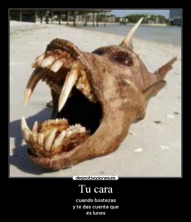 Tu cara - cuando bostezas
y te das cuenta que
es lunes