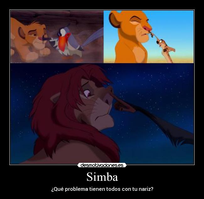 Simba - ¿Qué problema tienen todos con tu nariz?