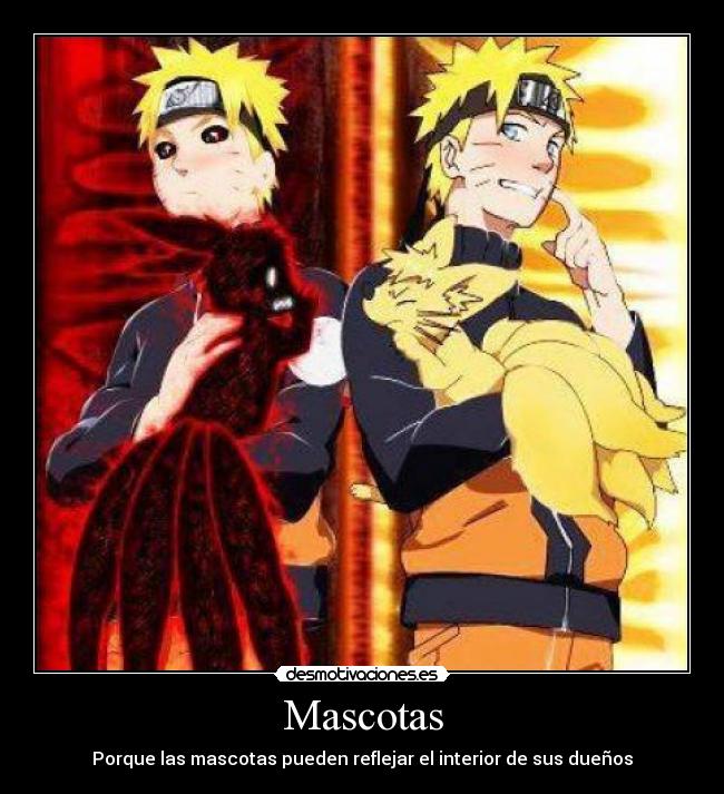 Mascotas - Porque las mascotas pueden reflejar el interior de sus dueños