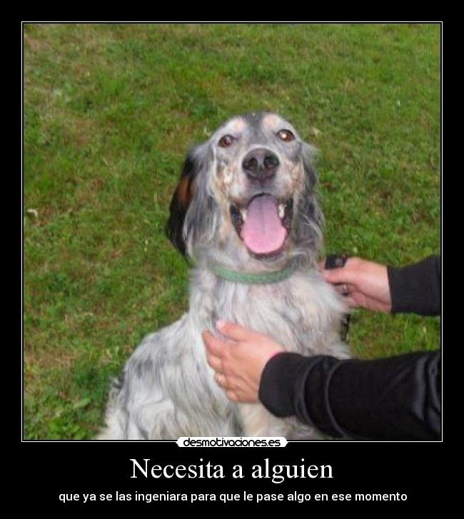 Necesita a alguien - que ya se las ingeniara para que le pase algo en ese momento