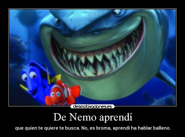 De Nemo aprendí - 