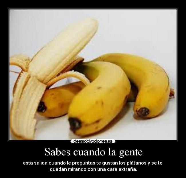 carteles salios desmotivaciones