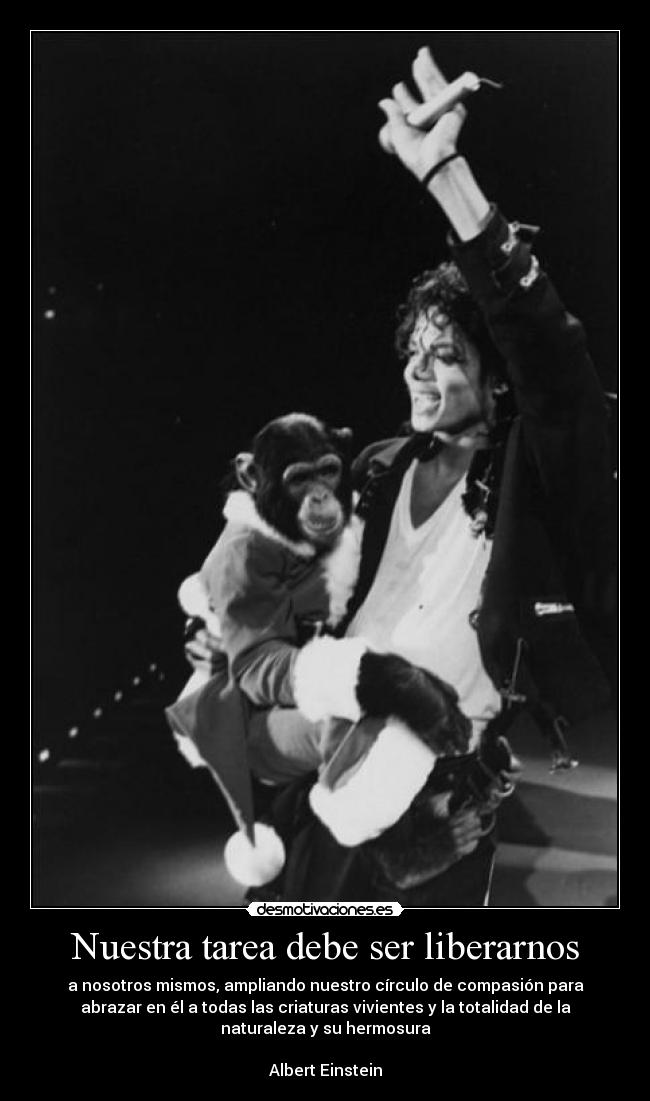 Nuestra tarea debe ser liberarnos - a nosotros mismos, ampliando nuestro círculo de compasión para
abrazar en él a todas las criaturas vivientes y la totalidad de la
naturaleza y su hermosura
Albert Einstein