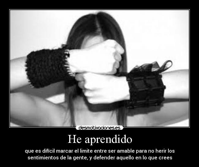 carteles aprendido desmotivaciones