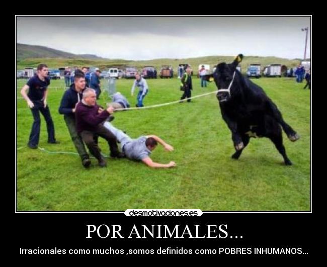 POR ANIMALES... - Irracionales como muchos ,somos definidos como POBRES INHUMANOS...