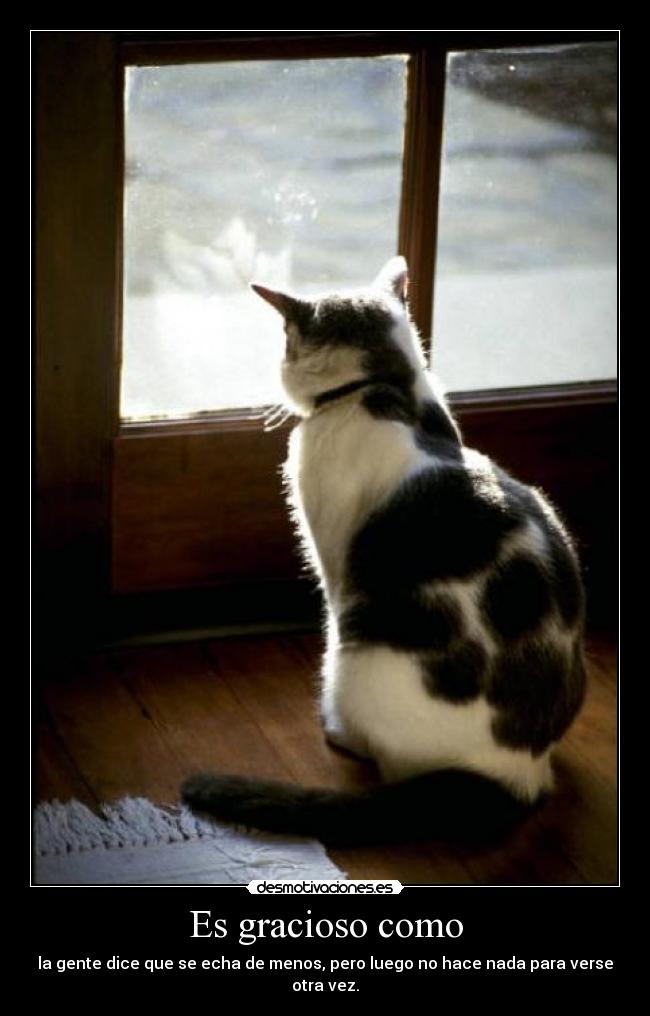 Es gracioso como -