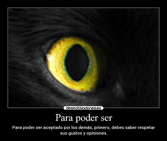 carteles gatitooooo desmotivaciones