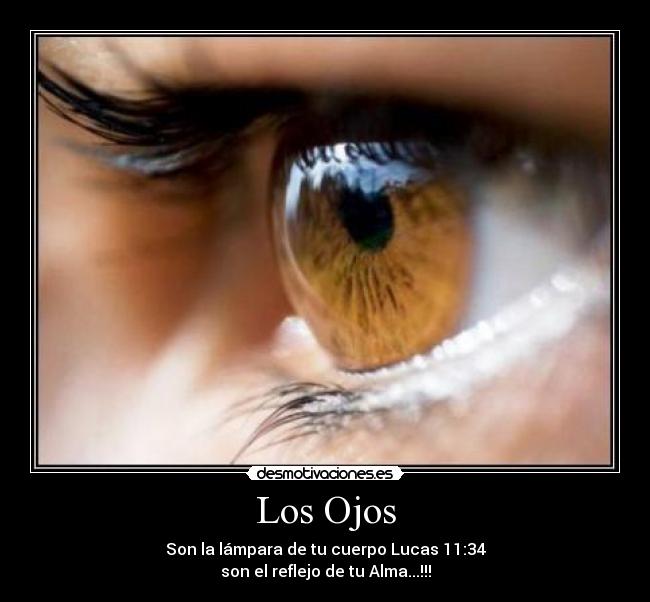 carteles elelloco desmotivaciones