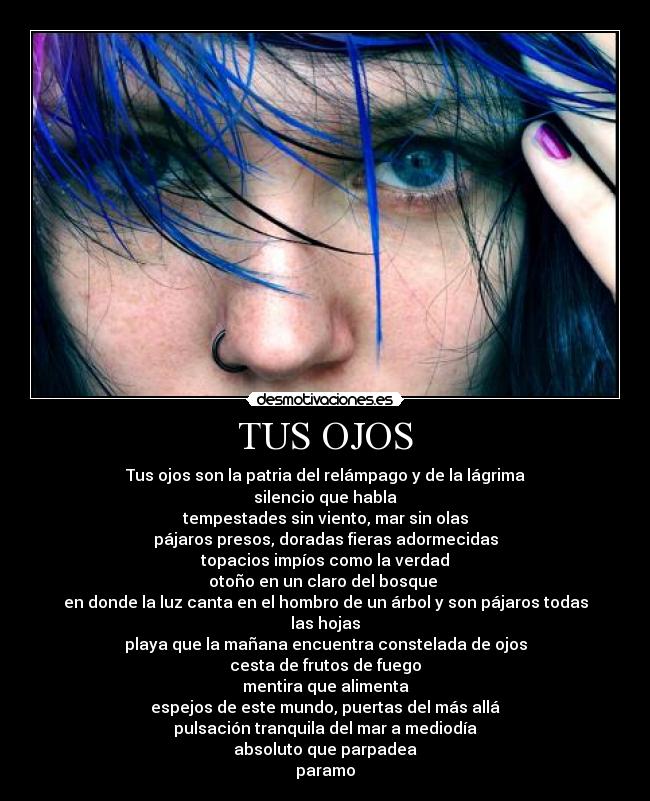 TUS OJOS - Tus ojos son la patria del relámpago y de la lágrima
silencio que habla
tempestades sin viento, mar sin olas
pájaros presos, doradas fieras adormecidas
topacios impíos como la verdad
otoño en un claro del bosque 
en donde la luz canta en el hombro de un árbol y son pájaros todas las hojas
playa que la mañana encuentra constelada de ojos
cesta de frutos de fuego
mentira que alimenta
espejos de este mundo, puertas del más allá
pulsación tranquila del mar a mediodía
absoluto que parpadea
paramo