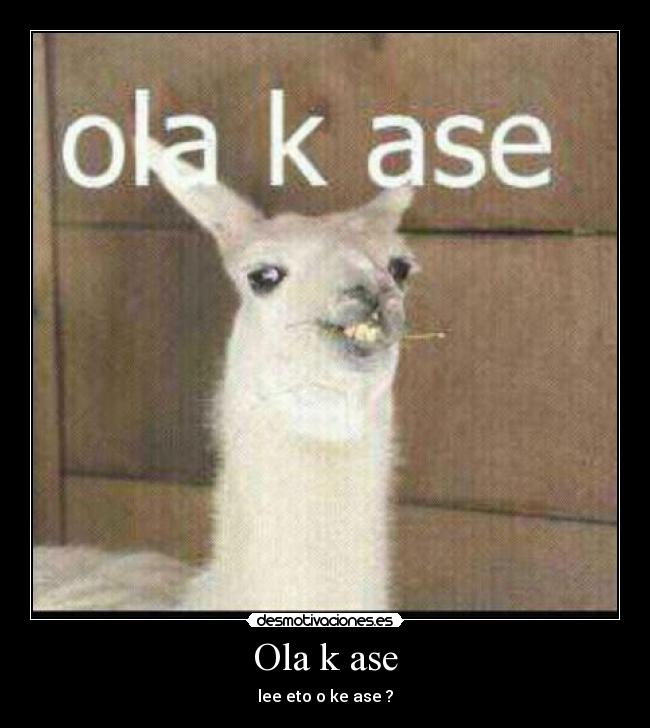 Ola k ase -