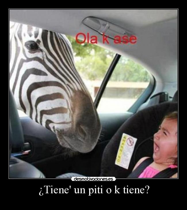 ¿Tiene un piti o k tiene? -