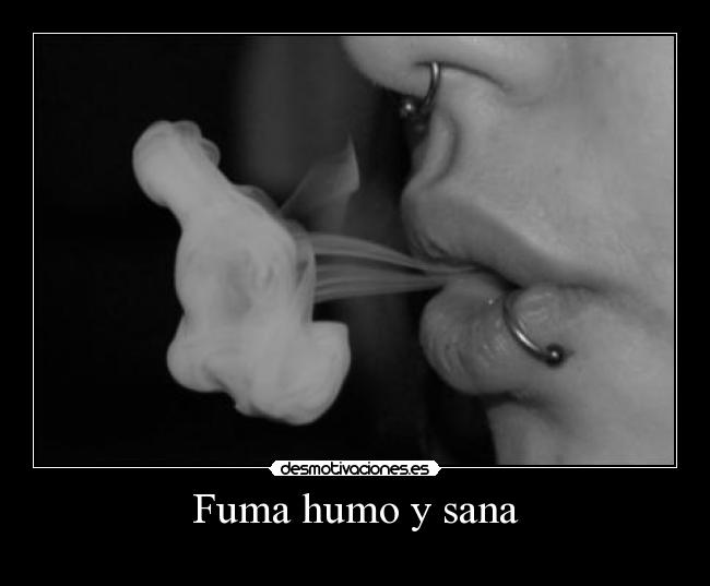 carteles fumar perjudicial para salud bueno volar fumo senores desmotivaciones