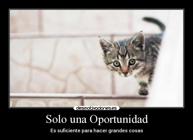 Solo una Oportunidad - 