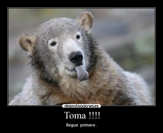Toma !!!! - llegue primero .
