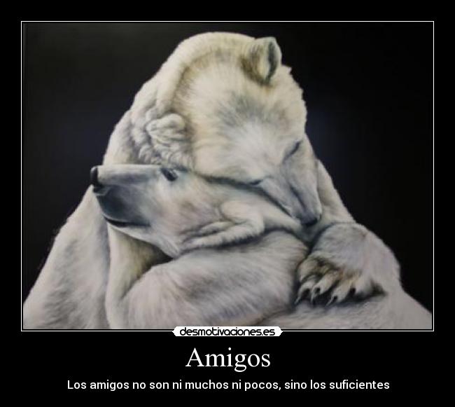 Amigos - 