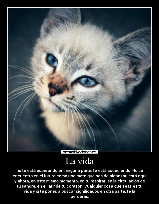 La vida - no te está esperando en ninguna parte, te está sucediendo. No se
encuentra en el futuro como una meta que has de alcanzar, está aquí
y ahora, en este mismo momento, en tu respirar, en la circulación de
tu sangre, en el latir de tu corazón. Cualquier cosa que seas es tu
vida y si te pones a buscar significados en otra parte, te la
perderás.