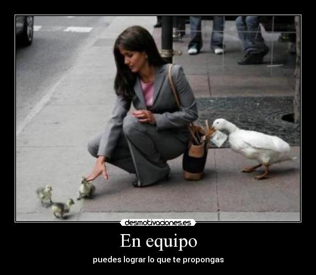 En equipo -