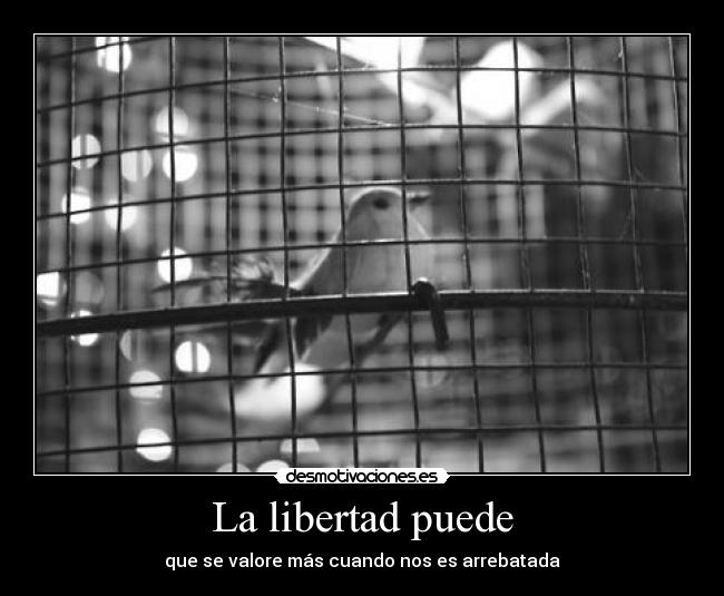 La libertad puede - 