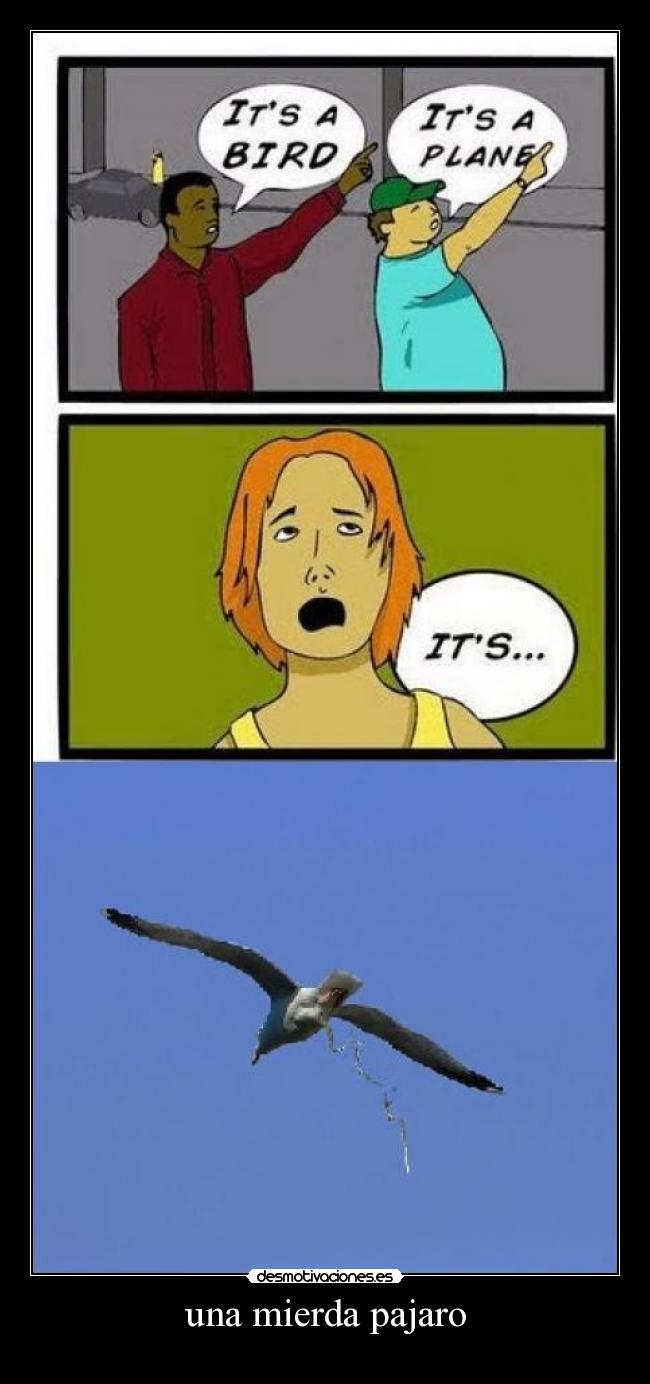 una mierda pajaro - 