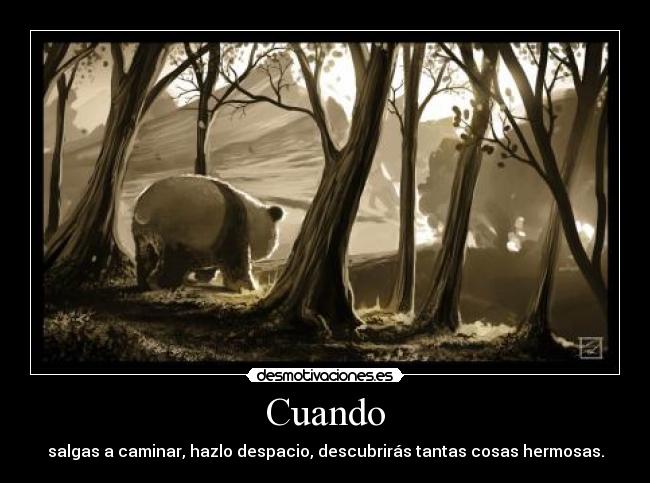 Cuando - salgas a caminar, hazlo despacio, descubrirás tantas cosas hermosas.