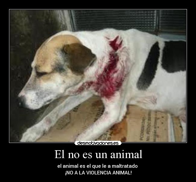 El no es un animal -