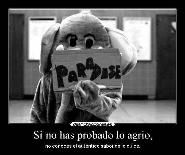Si no has probado lo agrio, - no conoces el auténtico sabor de lo dulce.