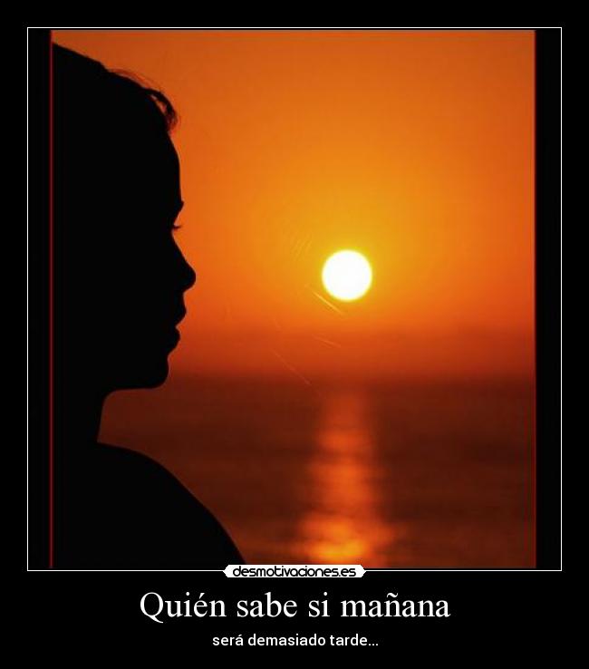 carteles quien sabe manana sera demasiado tarde desmotivaciones