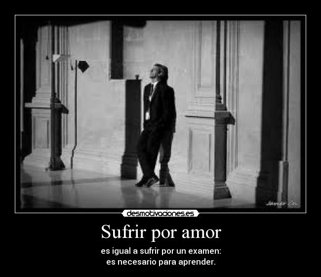 carteles amor asi aprende desmotivaciones