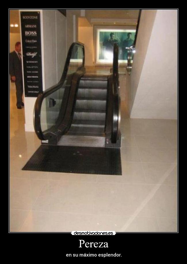 Pereza - en su máximo esplendor.