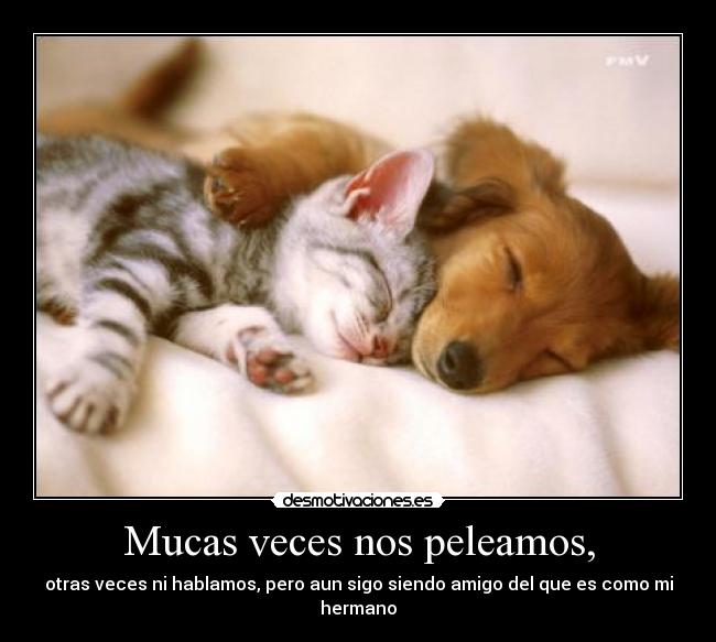 carteles amistad importa las diferencias desmotivaciones