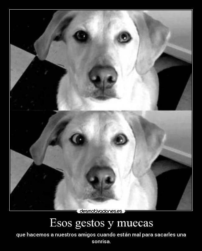 carteles badgirl desmo02 waltk dame prinsi ahora necesito carinitos pero quien pregunto desmotivaciones