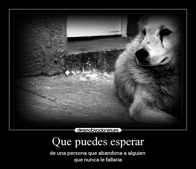 Que puedes esperar - de una persona que abandona a alguien
que nunca le fallaría.