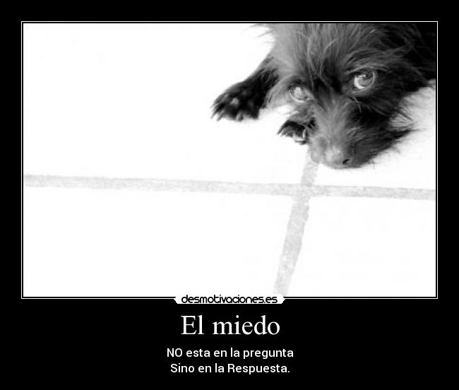 El miedo - NO esta en la pregunta
Sino en la Respuesta.