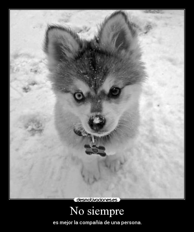 No siempre - 