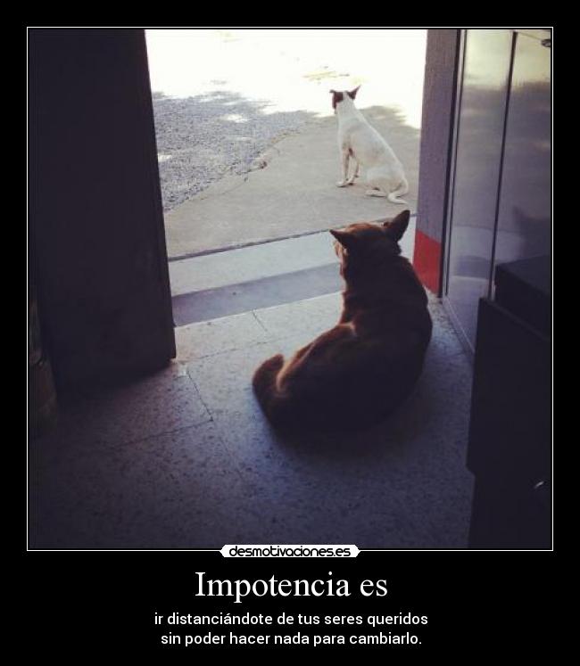 Impotencia es - 