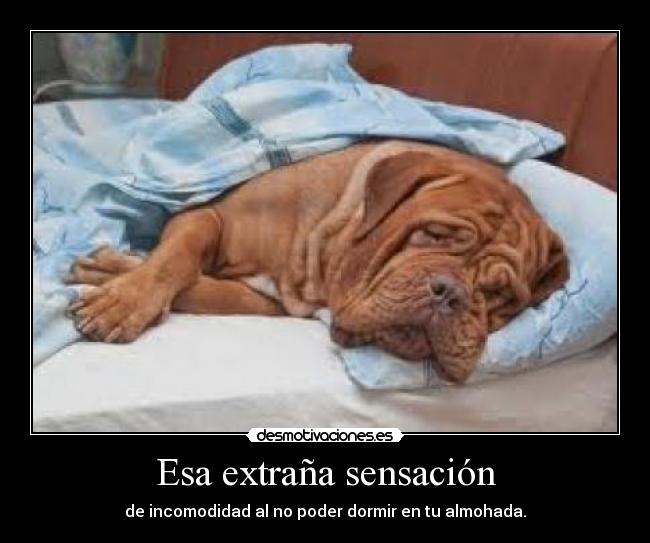 Esa extraña sensación - de incomodidad al no poder dormir en tu almohada.