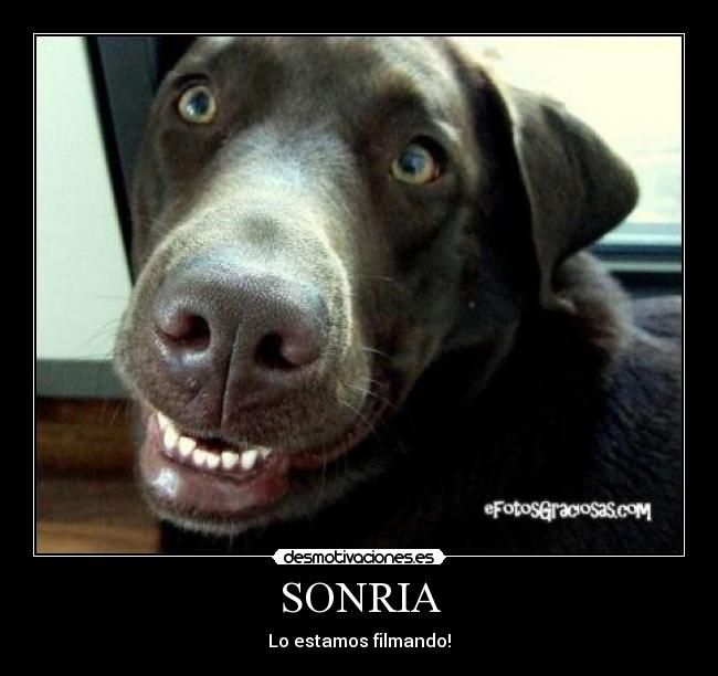 SONRIA -