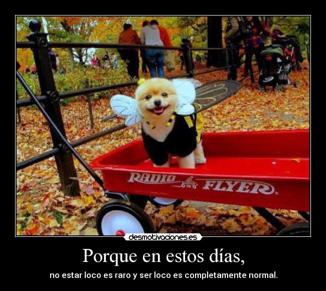 Porque en estos días, -