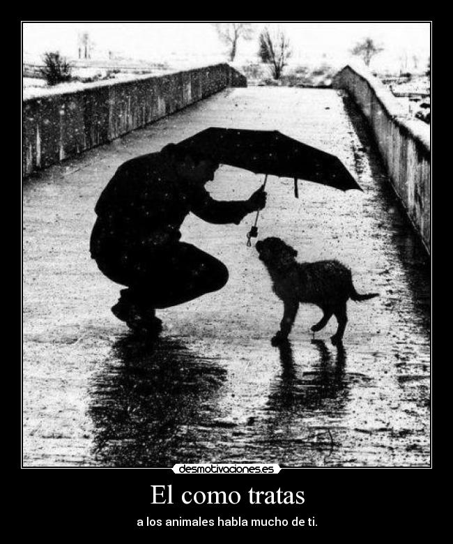 El como tratas -