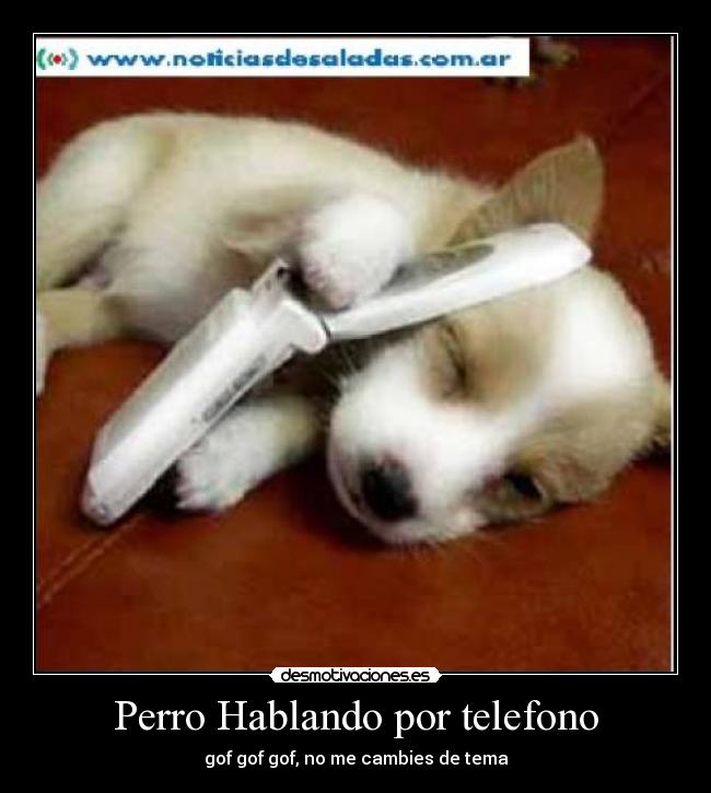 Perro Hablando por telefono - gof gof gof, no me cambies de tema