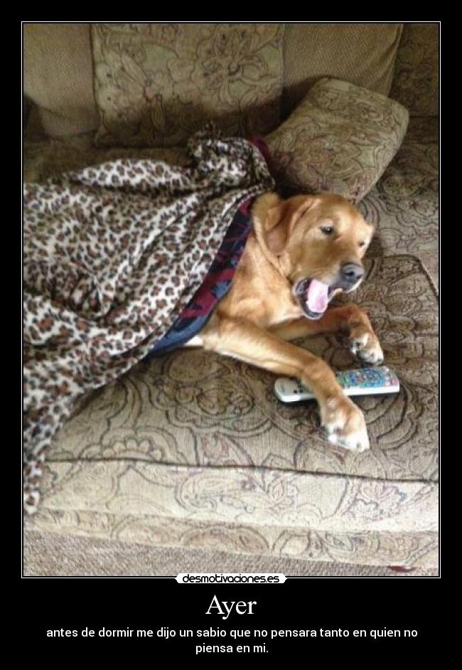 Ayer - antes de dormir me dijo un sabio que no pensara tanto en quien no piensa en mi.