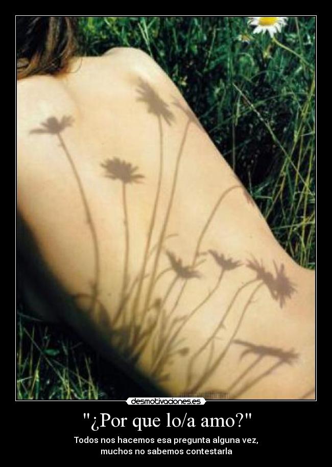 ¿Por que lo/a amo? - 