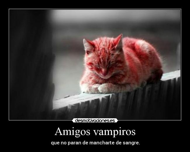Amigos vampiros - 