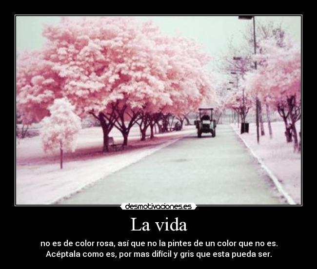 La vida - no es de color rosa, así que no la pintes de un color que no es.
Acéptala como es, por mas difícil y gris que esta pueda ser.
