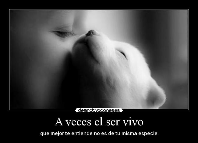 A veces el ser vivo -