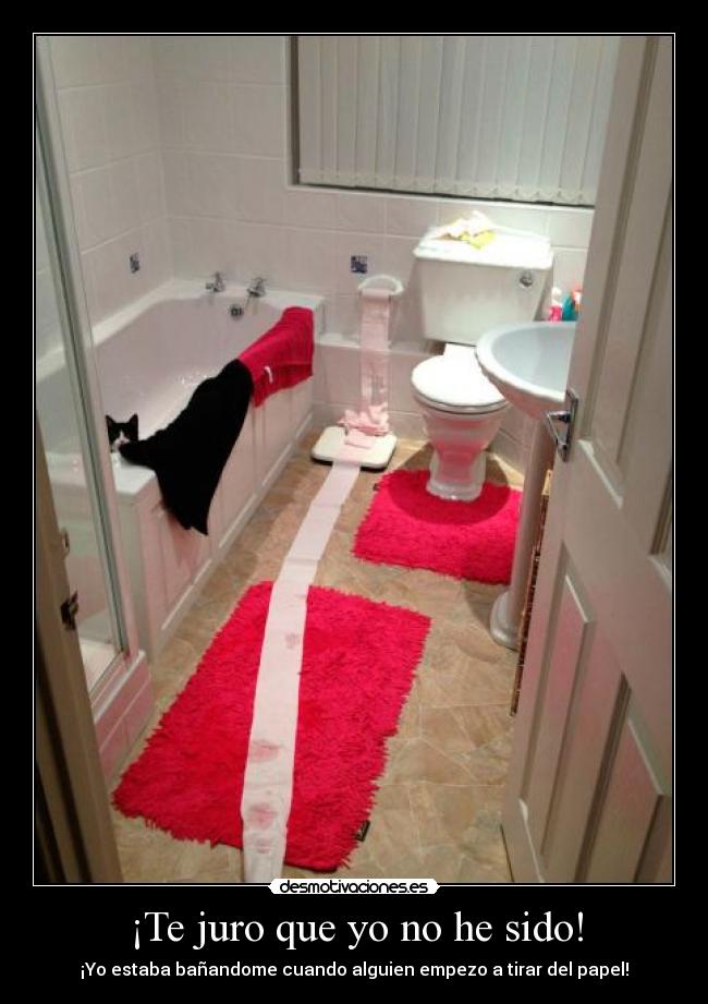 ¡Te juro que yo no he sido! - 